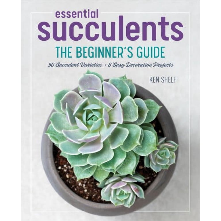 Essential Succulents : The Beginner's Guide (Paperback) - Walmart.com