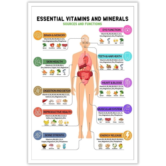 Essential Vitamins and Minerals Nutrition Guidelines Poster Healthy Eating Wall Sticker Nutritious Food Art for Classroom Learning Kitchen or School Decoration poster