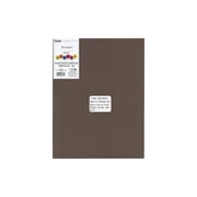 Essentials By Leisure Arts Arts Foam Sheet 9x12" 2mm Brown 15pc