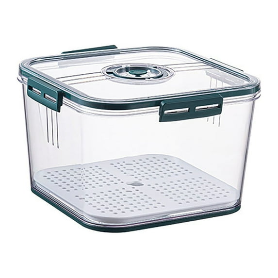 Essentials Food containers Fresh Produce Vegetable Fruit Storage Containers With Time Recording Fridge Storage Container Container And Fridge Organizers