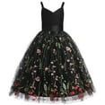 thumbnail image 1 of Essentials Girls Dresses 2026 Fashion Embroidered Lace Suspender Puffy Birthday Fashion Dress Size 3-4 Years, 1 of 2