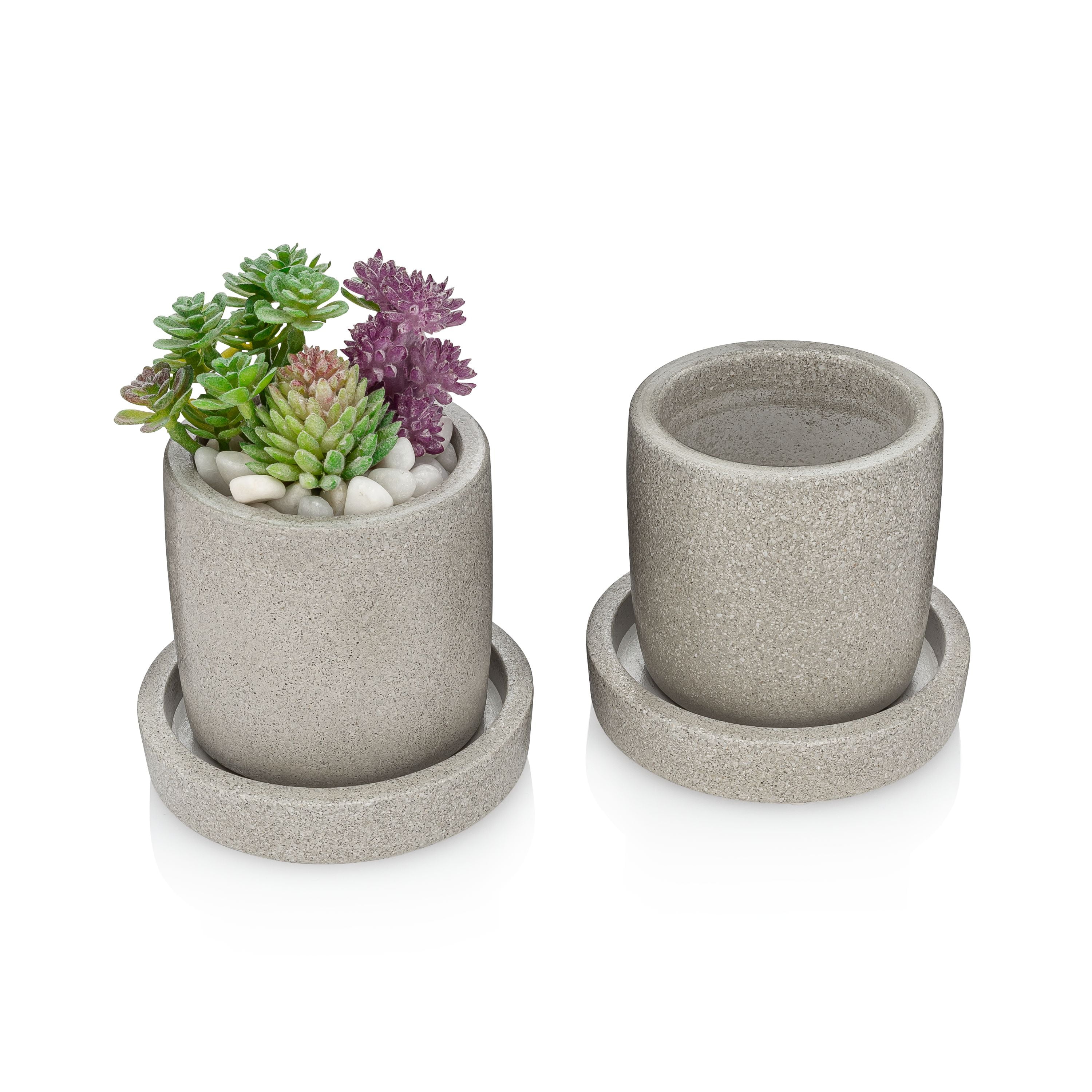 Essentra Home Cement Gray Succulent Pot