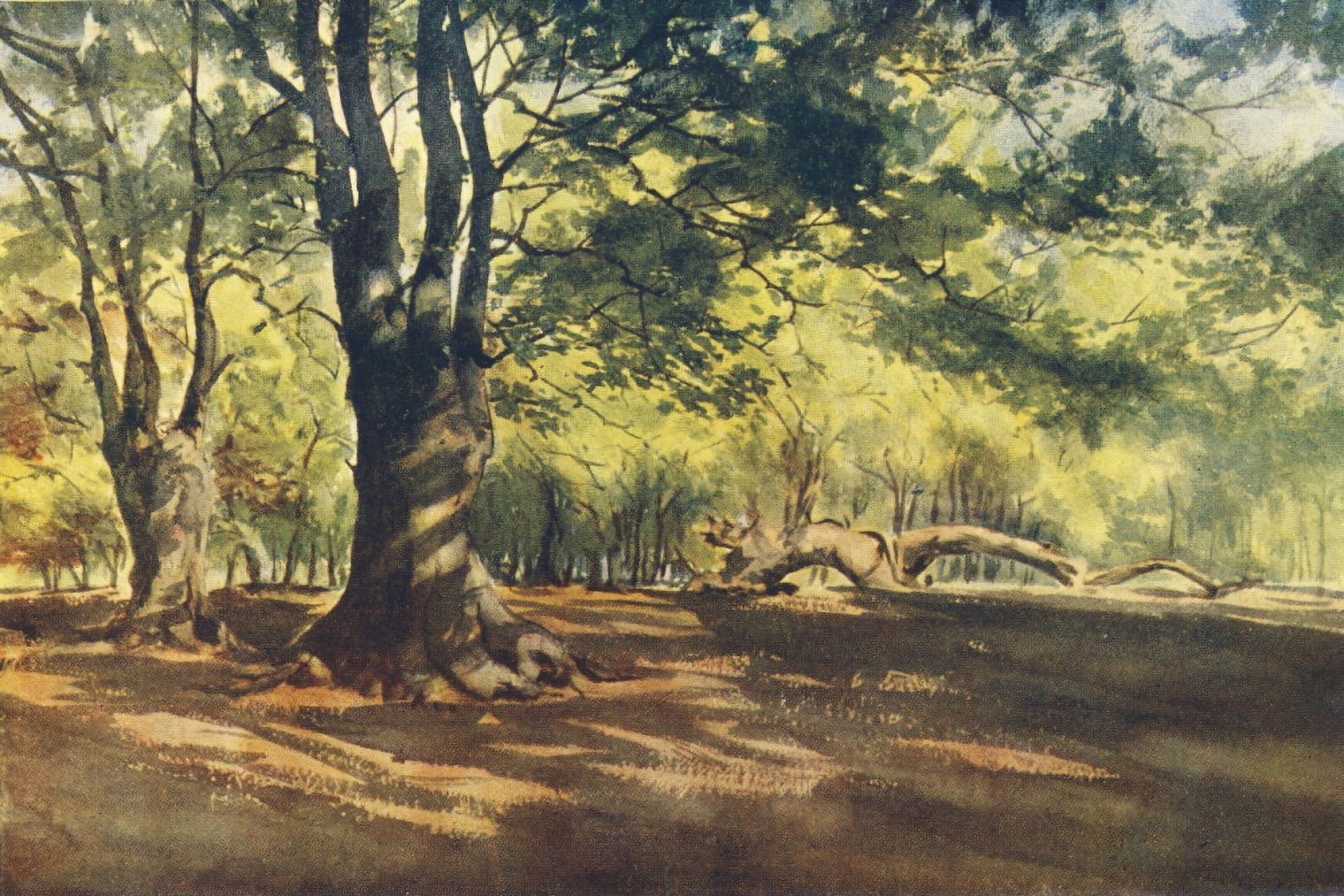 Essex 1909 At Highbeech early summer Canvas Art - Louis Burleigh Bruhl (24 x 36)