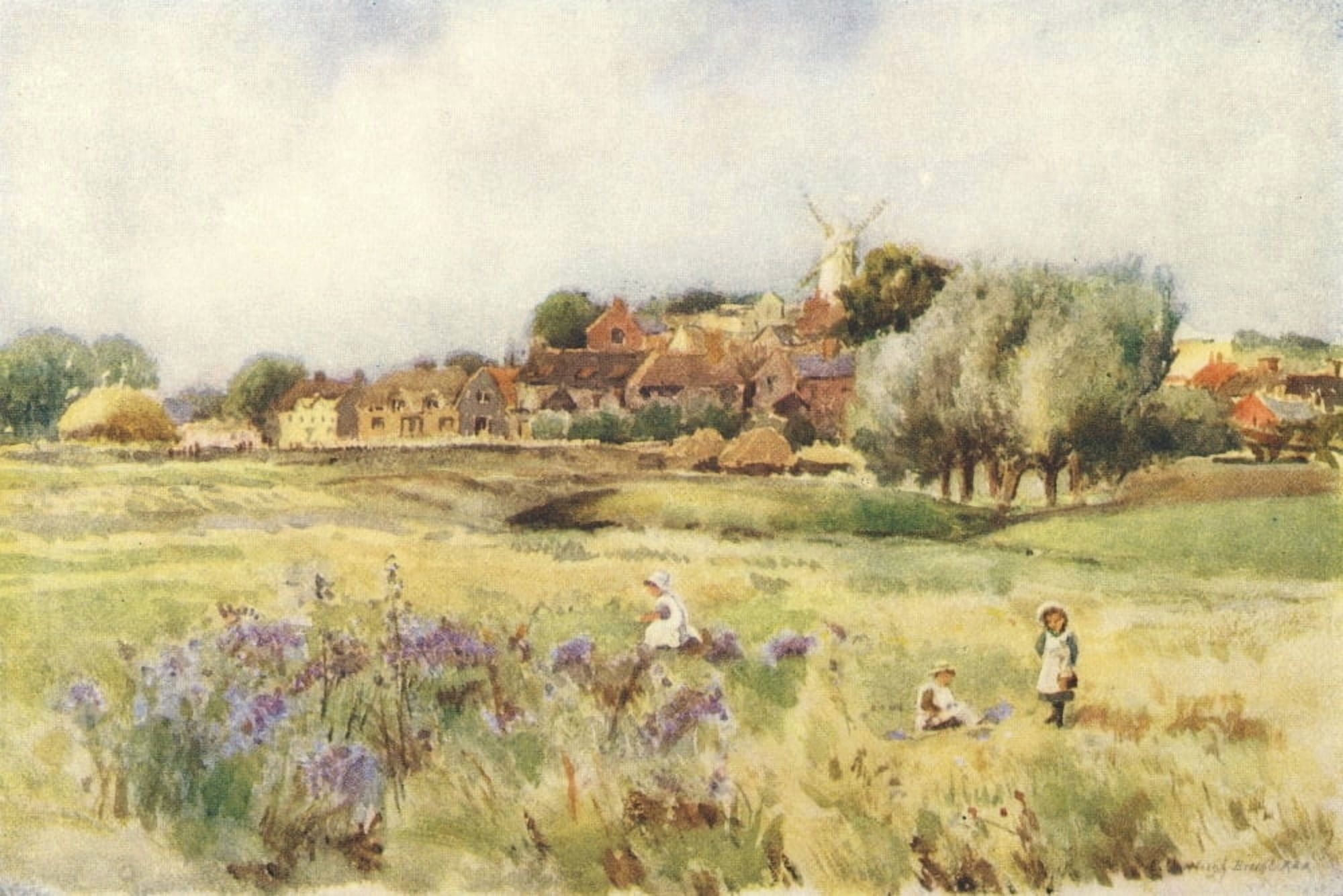Essex 1909 Gathering wild vetch at Ramsey near Harwich Canvas Art - Louis Burleigh Bruhl (18 x 24)