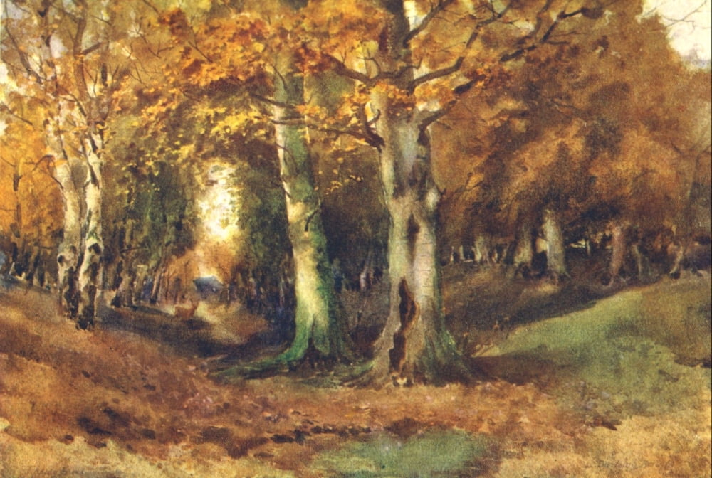 Essex 1909 Glade in Epping Forest near Loughton Canvas Art - Louis Burleigh Bruhl (24 x 36)