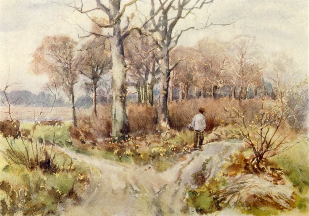 Essex 1909 In Wrabness Woods near Harwich Canvas Art - Louis Burleigh Bruhl (24 x 36)