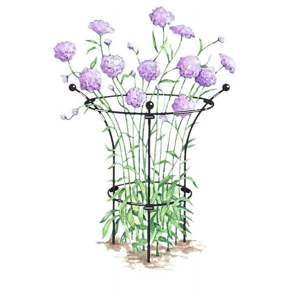 Gardener's Supply Company Essex Plant Supports