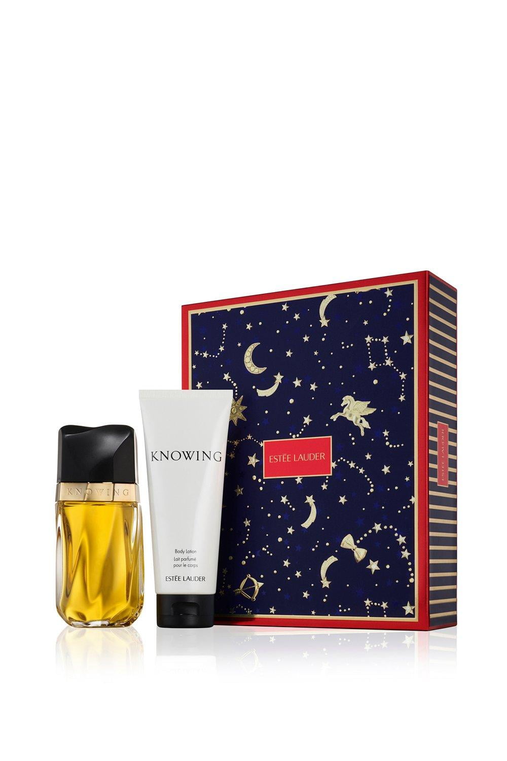 こむぎ様専用 Estée Lauderイデアリスト ポア75ml × 2本セット