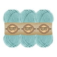 thumbnail image 1 of Estako Megastar, (3 Skeins Pack) 75% Acrylic 25% Wool Yarn, Soft, Chunky Bulky Weight #5 for Crochet and Knitting (3 x 3.52 Oz) / (3 x 120 Yrds) (64064 - Mint), 1 of 5