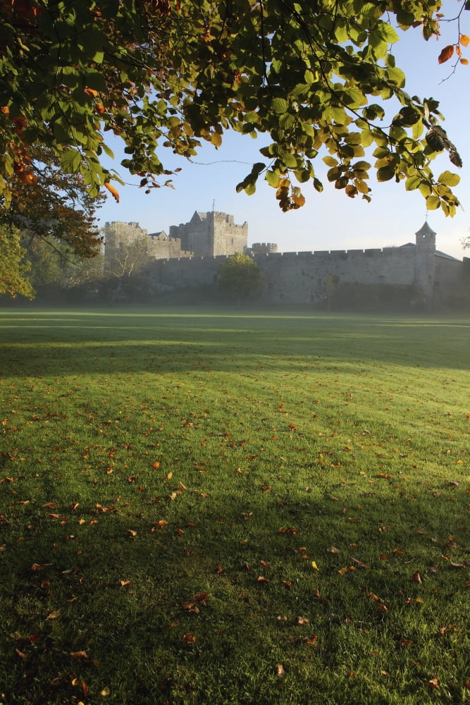 Estate Of Cahir Castle Cahir County Tipperary Ireland Canvas Art - Trish Punch Design Pics (24 x 38)