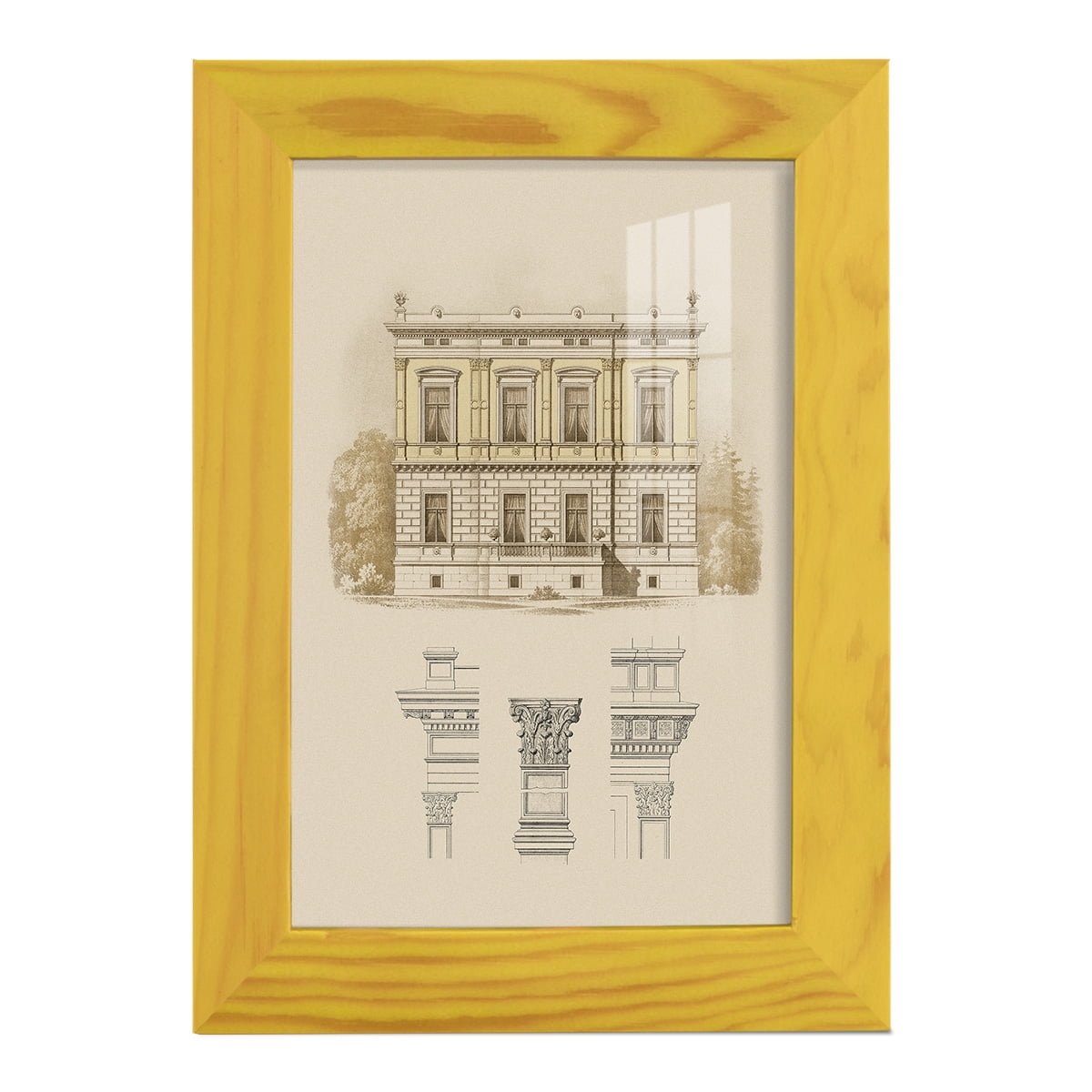 Estate & Plan IV -Framed Print w/glass-Sunflower Yellow