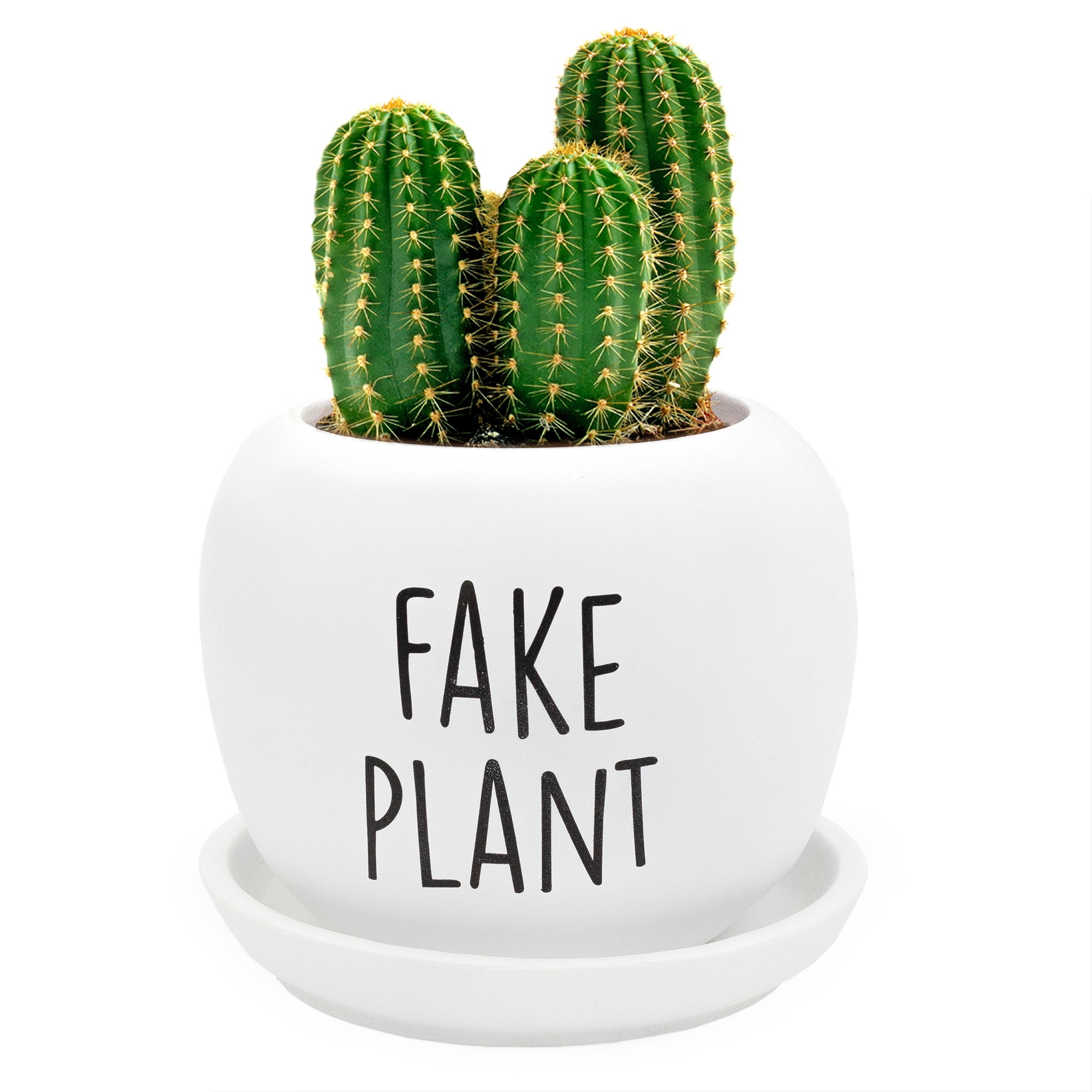 Esterno Fake Plant Planter Pot; Small Resin Decorative Container for Indoor/Outdoor Container Gardening
