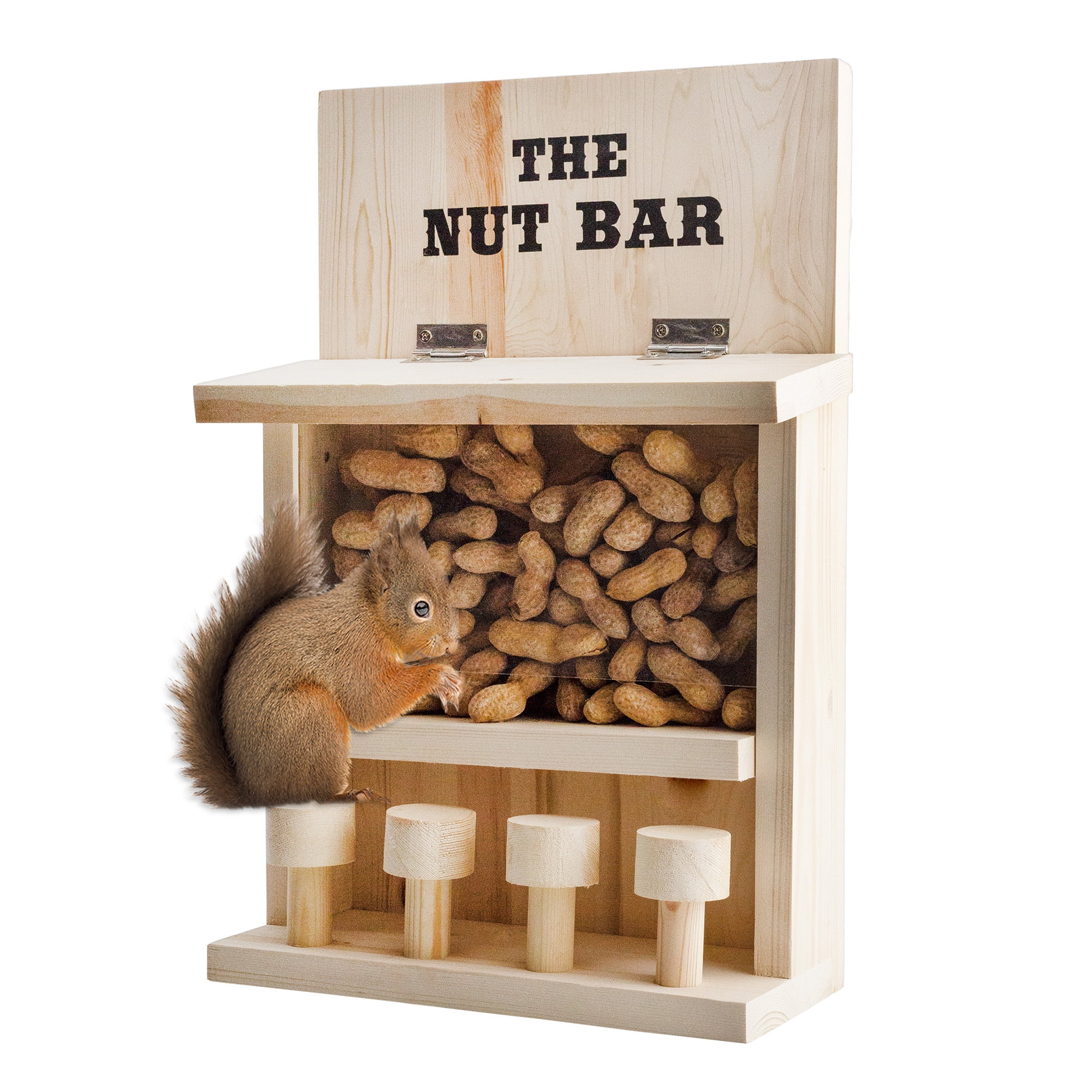 Esterno Nut Bar Squirrel Feeder, Funny Bar Stool Outdoor Squirrel