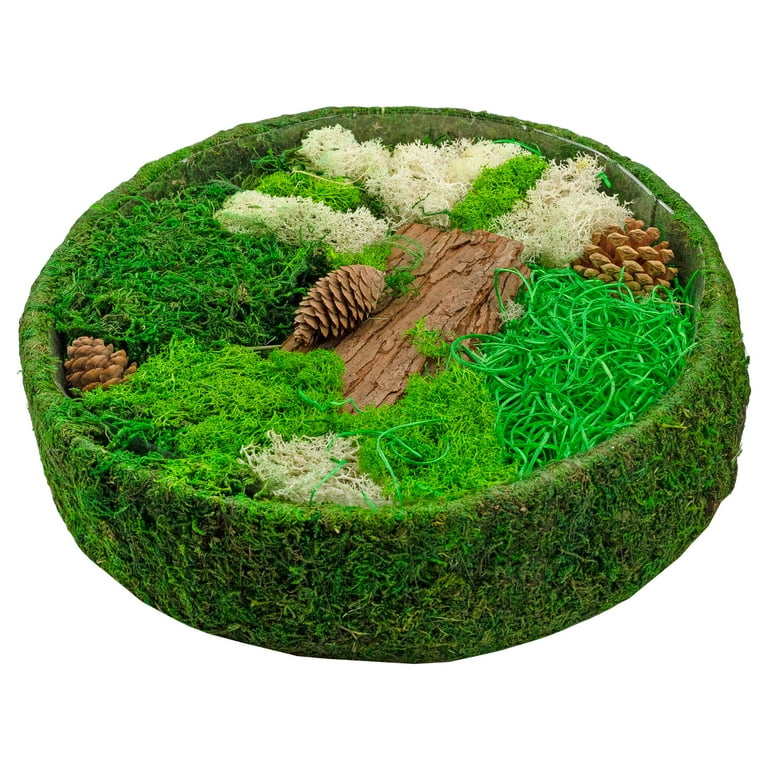 50g Preserved Natural Moss Grass DIY Gift Box Fillers