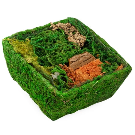 Esterno Square Fairy Garden Display, DIY Dried Moss Enchanted Landscape Terrarium Starter Kit