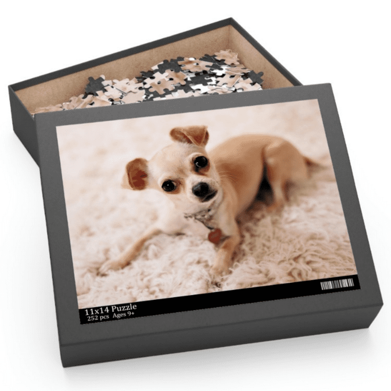 Second Life Marketplace - JIAN Cheeky Chihuahuas BOX 1. Comfy Blankie RARE