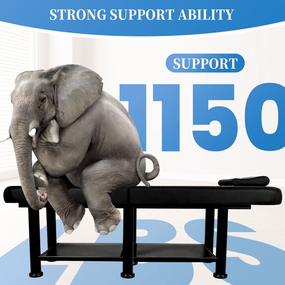 Esthetician Bed, Beauty Bed, Tattoo Bed, Spa Bed, Facial Bed, Portable Massage Table, Metal Frame Folding 2 Folding, for Spa Footmassage