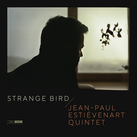 Estievenart - Strange Bird - Music & Performance - CD