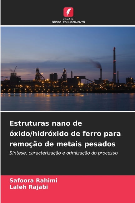 Estruturas nano de Ã³xido/hidrÃ³xido de ferro para remoÃ§Ã£o de metais pesados, (Paperback)