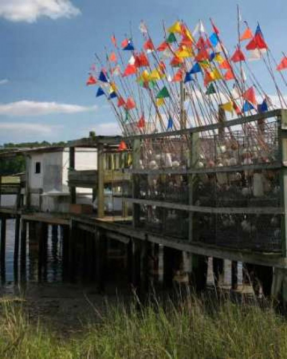 Estuary I Canvas Art - Scott Larson (20 x 24)