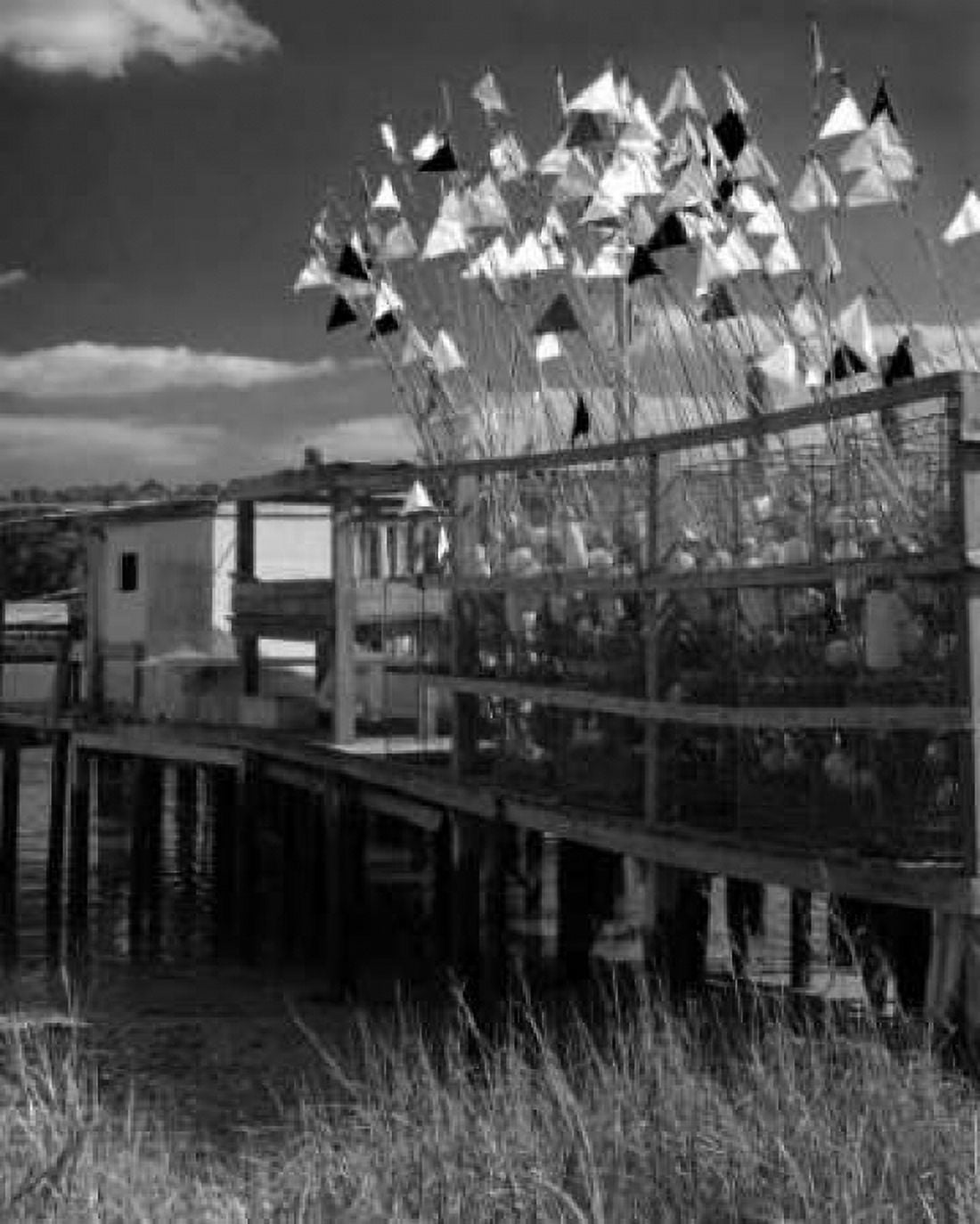 Estuary II Canvas Art - Scott Larson (20 x 24)