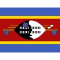 thumbnail image 1 of Eswatini National Flag Patriotic Vexillology World Flags Country Region Poster Extra Large XL Wall Art Print, 1 of 3
