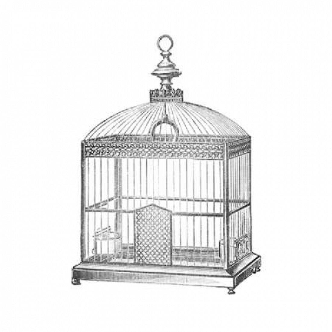 Etchings Birdcage - Arched top filigree detail Canvas Art - Catalog Illustration (24 x 24)