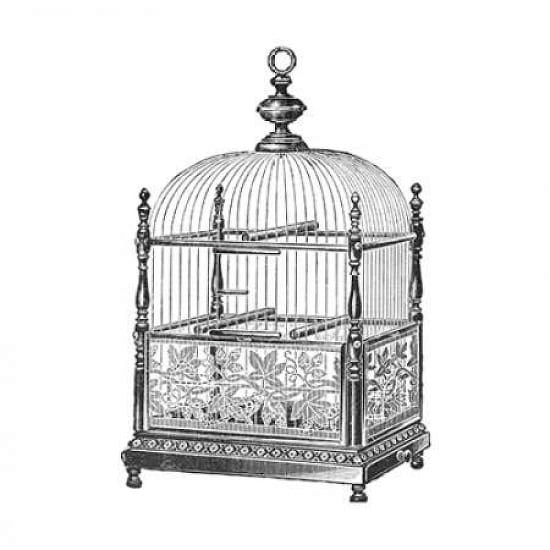 Etchings Birdcage - Dome top spindle corners vine detail base Canvas Art - Catalog Illustration (24 x 24)