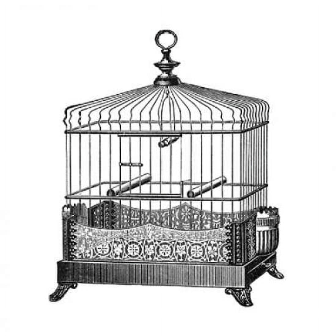 Etchings Birdcage - Filigree base Canvas Art - Catalog Illustration (24 x 24)