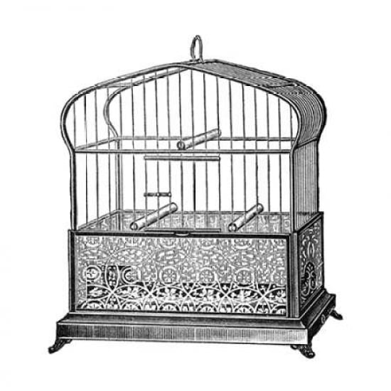 Etchings Birdcage - Onion-peak top filigree pattern base Canvas Art - Catalog Illustration (24 x 24)
