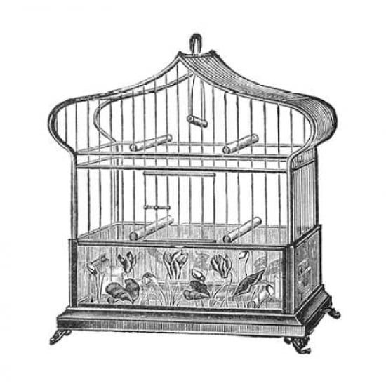 Etchings Birdcage - Onion-peak top floral base Canvas Art - Catalog Illustration (24 x 24)
