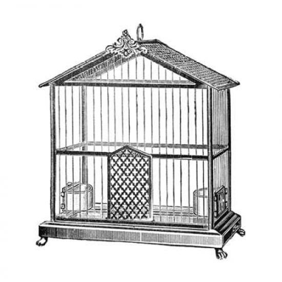 Etchings Birdcage - Peaked top Canvas Art - Catalog Illustration (24 x 24)