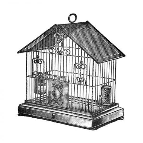 Etchings Birdcage - Peaked top twisted wire detail Canvas Art - Catalog Illustration (24 x 24)