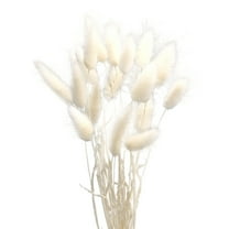 Etereauty Dried Grass Pampas Flowers Bunny Tail Natural Flower Tails Decor Bouquet Rabbit Wedding Eternal Dry Pompous Artificial