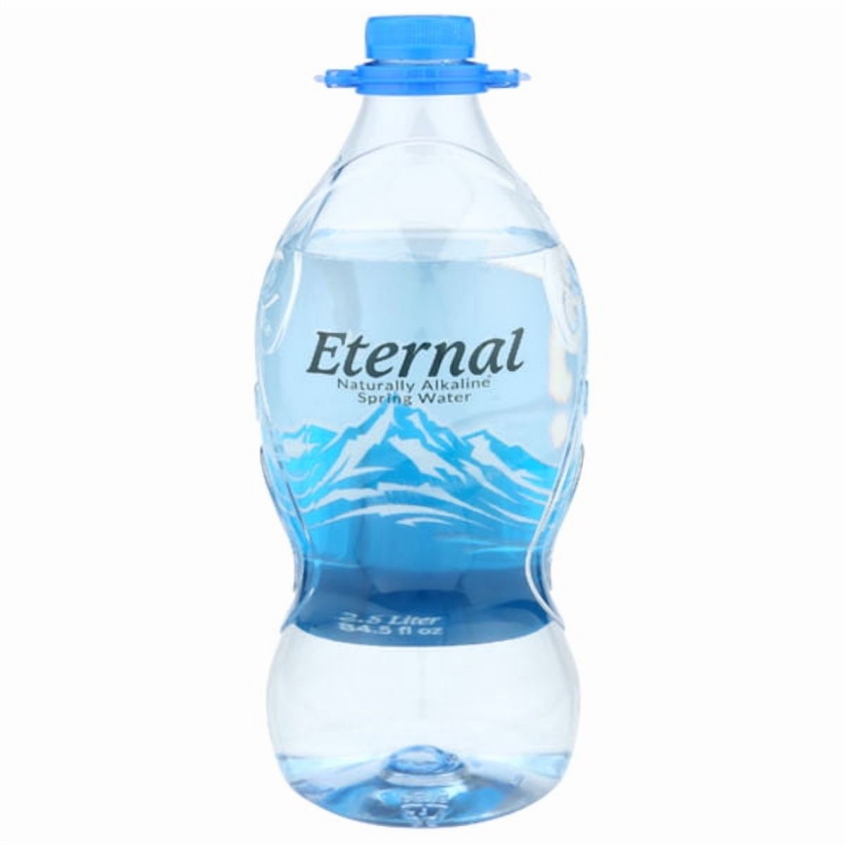 Eternal Alkaline Water 84.5 fl oz (Pack Of 2)