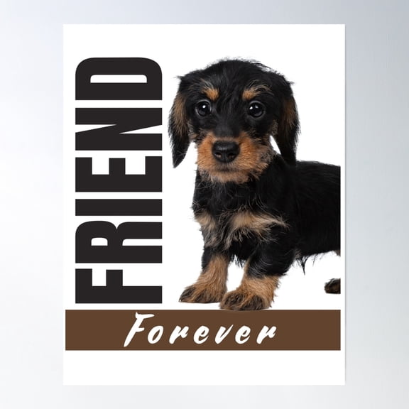 Eternal Canine Bond: Unbreakable Love Between Humans And Dogs Poster Wall Art, Modern Wall Decor, 8x12 UNFRAMED