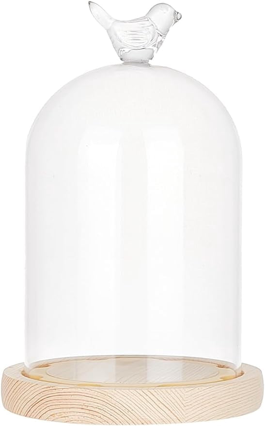 Eternal Glass Dome Cloche 4.8×7.5" Clear Cloche Bell Jar Terrarium Bird ...