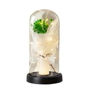 Eternal LED Luminous Gypsophila Bouquet in Glass Cover - Valentine's Day, Mother's Day, Birthday Gifts for Her, Women, Wife, Romantic Night Light Decor for Home & Wedding