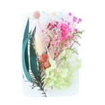 Eternal Life Dried Flower Material Package Festival Handmade Diy Flower