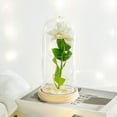 thumbnail image 1 of Valentines Day Gifts For Girlfriend & Wife, Girlfriend Presents,Cool Gifts To Get Your Girlfriend,Forever Preserved Rose Night Light in Glass / Dome,Valentine's Day Decor, 1 of 4