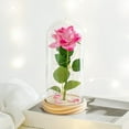 thumbnail image 1 of Valentines Day Gifts For Girlfriend & Wife, Girlfriend Presents,Cool Gifts To Get Your Girlfriend,Forever Preserved Rose Night Light in Glass / Dome,Valentine's Day Decor, 1 of 4
