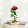 thumbnail image 1 of Valentines Day Gifts For Girlfriend & Wife, Girlfriend Presents,Cool Gifts To Get Your Girlfriend,Forever Preserved Rose Night Light in Glass / Dome,Valentine's Day Decor, 1 of 4