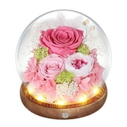 Preserved Roses in Glass Dome with LED Light – Real Long-Lasting Roses, Eternal Flowers for Delivery, Mothers Gift for Her, Mom, Wife, Anniversary and Birthday Presents for Women, Purple
