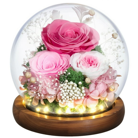Eternal Rose Gifts for Mom, Preserved Real Rose in Glass Dome with LED Light for Decoration, Flowers for Delivery Prime, Gifts for Women Wife Her on Birthday Anniversary,Pink