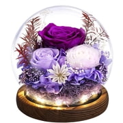 Eternal Rose Gifts for Mom, Preserved Real Rose in Glass Dome with LED Light,Gifts for Women Wife Her on Birthday Anniversary Mothers Day,Purple