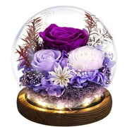 Eternal Rose Gifts for Mom, Preserved Real Rose in Glass Dome with LED Light for Decoration, Flowers for Delivery Prime, Gifts for Women Wife Her on Birthday Anniversary,Purple