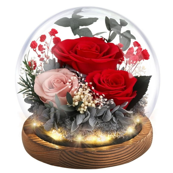 Eternal Rose Gifts for Mom, Preserved Real Rose in Glass Dome with LED Light for Decoration, Flowers for Delivery Prime, Gifts for Women Wife Her on Birthday Anniversary,Red