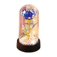 thumbnail image 1 of Eternal Rose in Glass Dome with LED Lights, Preserved Flower Gift for Women Mom and Loved Ones, Romantic Birthday and Valentine's Day Present with Wooden Base for Home Decor, 1 of 6