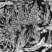 Eternal Tapestry - Wild Strawberries - Rock - CD