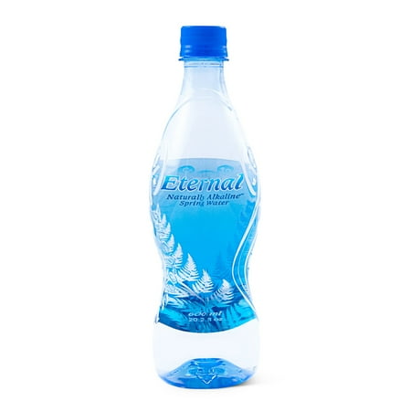 Eternal Water, Naturally Alkaline Mineral Spring Water From The Shasta-Trinity Alps, USA. 600 mL (20.2 oz) 24 Bottles (232898) 20.2 Fl Oz (Pack of 24)